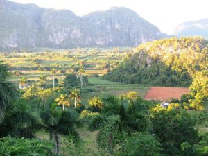 Viñales 1